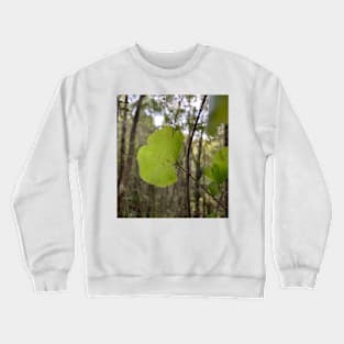 Kidney fern 2 Crewneck Sweatshirt